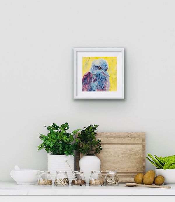 comfy kookaburra - in situ