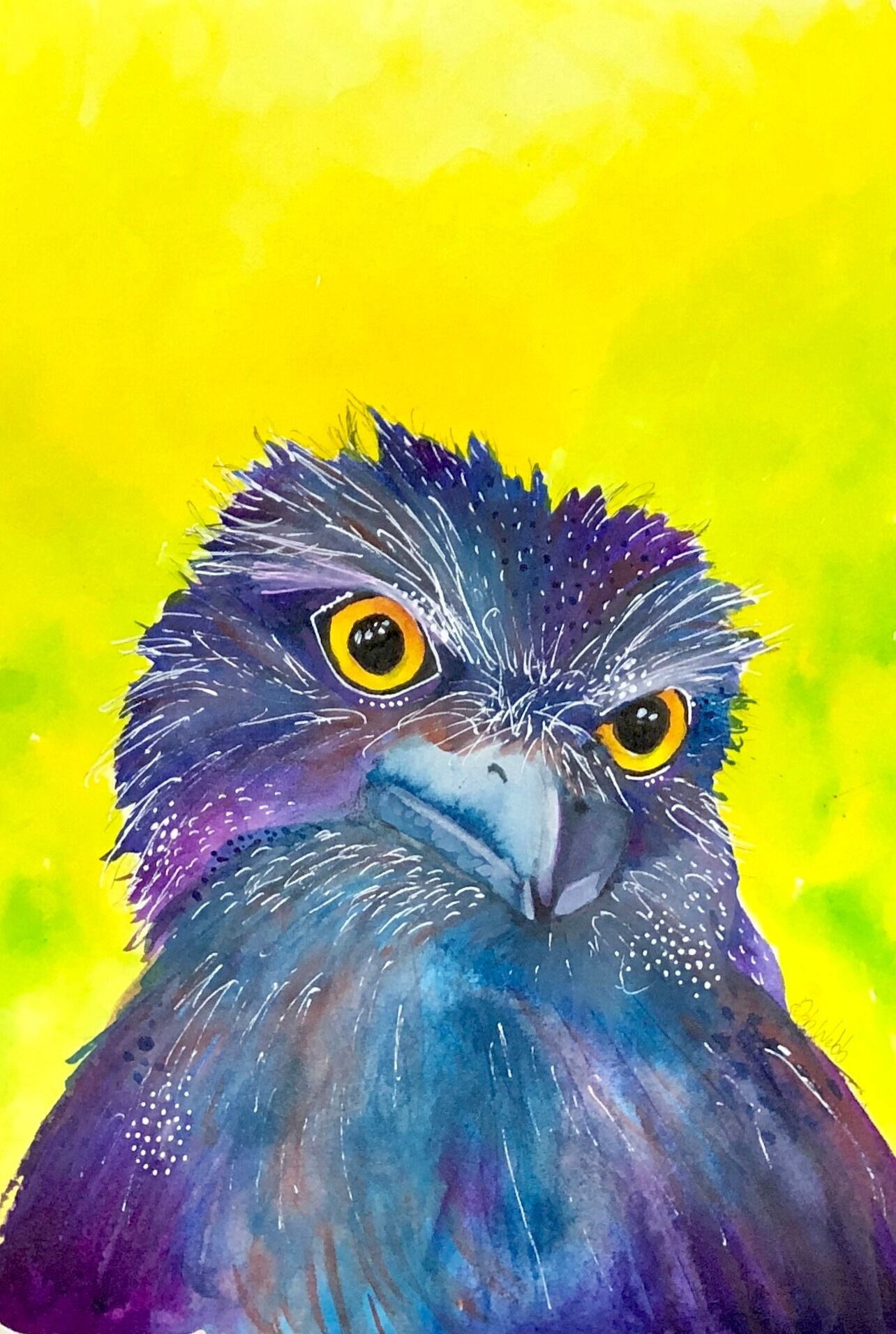 Tawny Frogmouth bird artwork